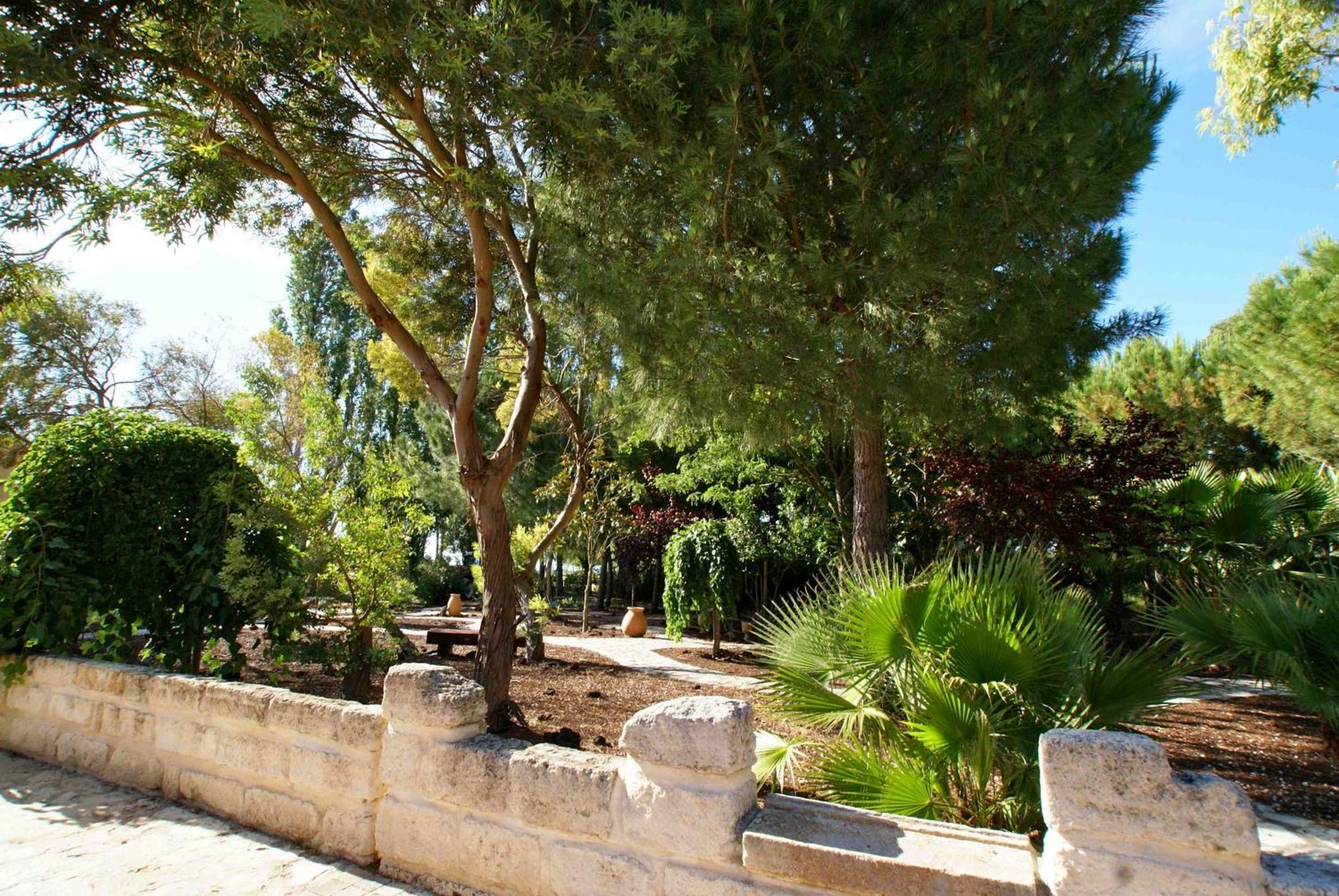 L'Oliveraie De Paul Aigues-Mortes Exterior foto